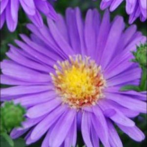 Meet your Posher, Jordana